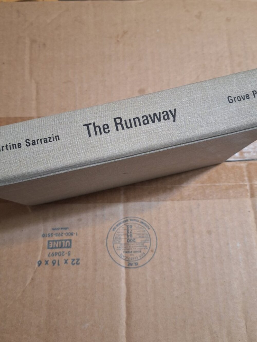 The Runaway
